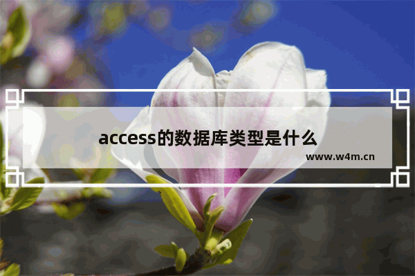 access的数据库类型是什么