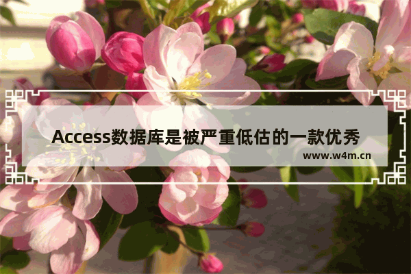 Access数据库是被严重低估的一款优秀软件