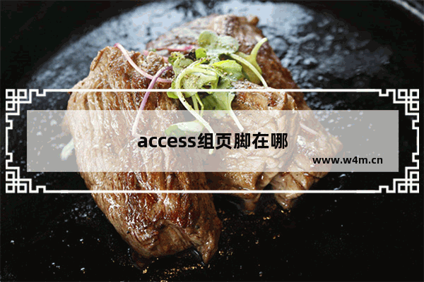 access组页脚在哪