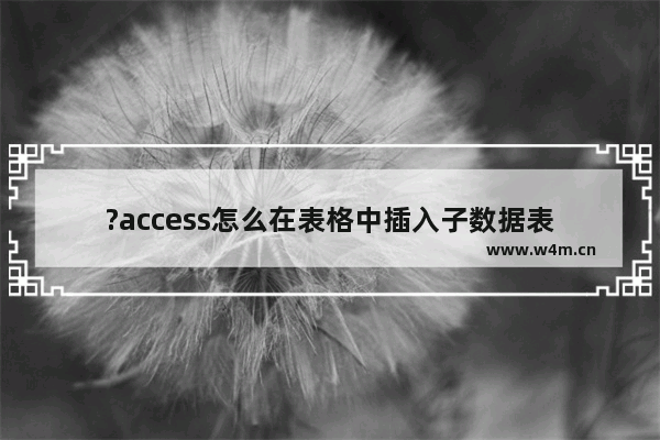 ?access怎么在表格中插入子数据表