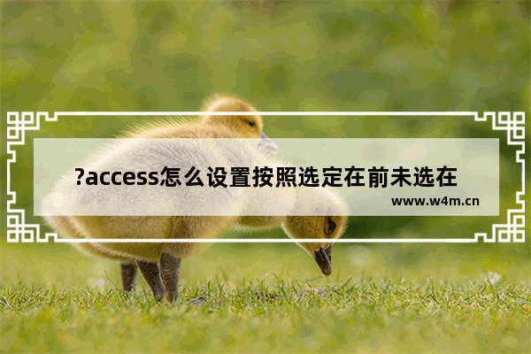 ?access怎么设置按照选定在前未选在后进行排序