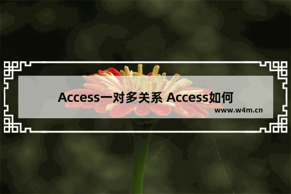 Access一对多关系 Access如何创建一对多关系