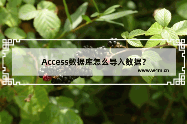 Access数据库怎么导入数据？