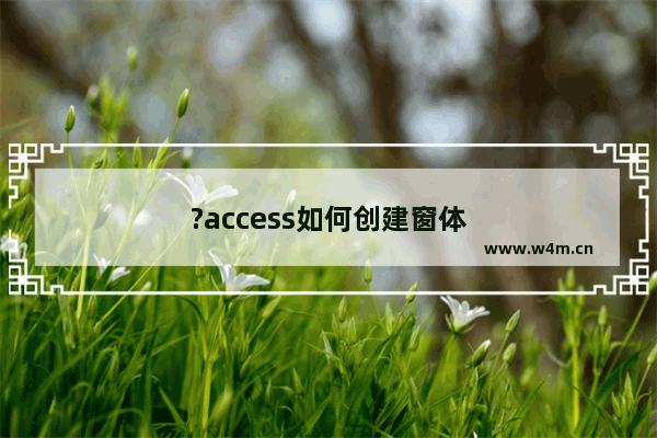 ?access如何创建窗体