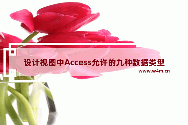 设计视图中Access允许的九种数据类型详解