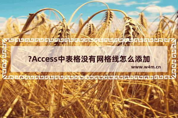 ?Access中表格没有网格线怎么添加