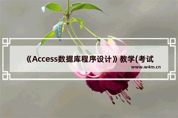 《Access数据库程序设计》教学(考试)大纲