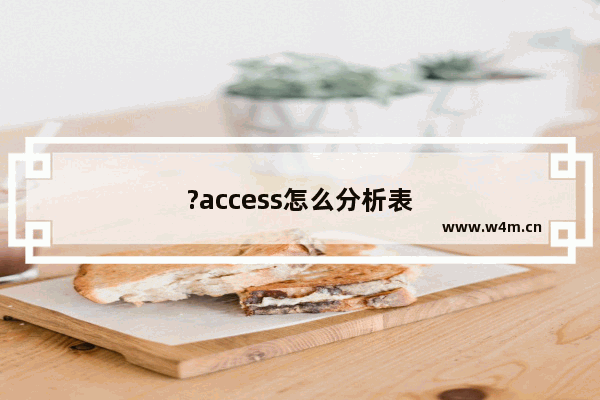 ?access怎么分析表