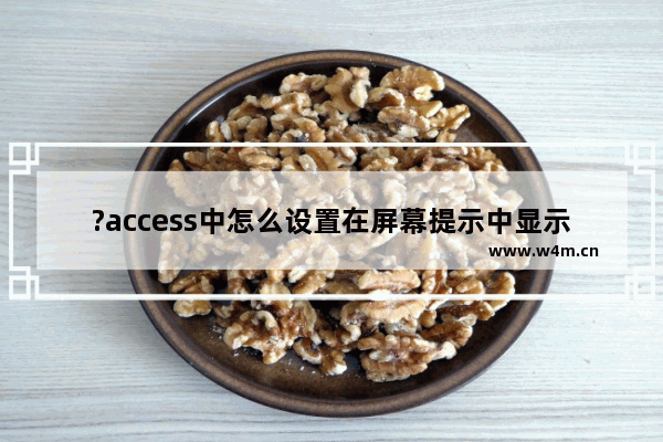 ?access中怎么设置在屏幕提示中显示快捷键