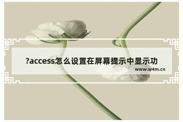 ?access怎么设置在屏幕提示中显示功能说明