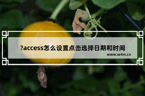 ?access怎么设置点击选择日期和时间