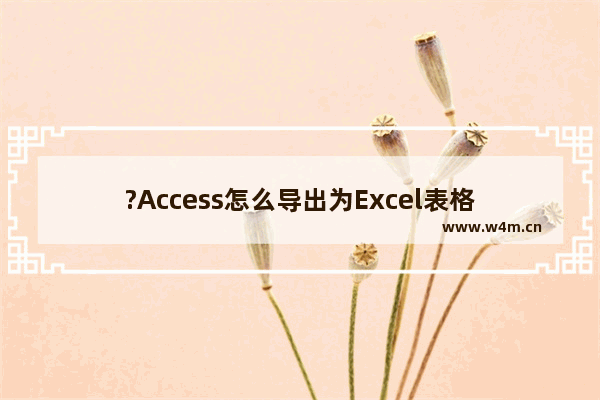 ?Access怎么导出为Excel表格