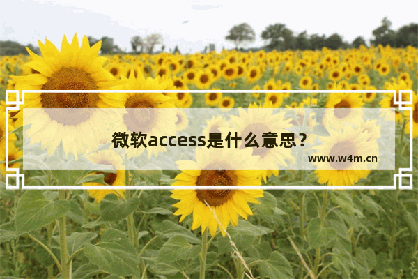 微软access是什么意思？