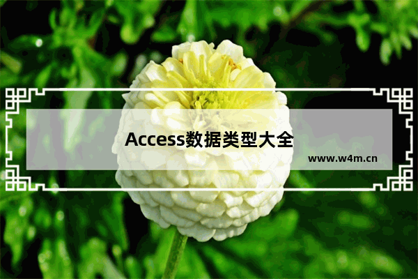 Access数据类型大全