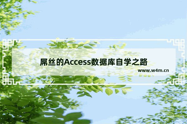 屌丝的Access数据库自学之路