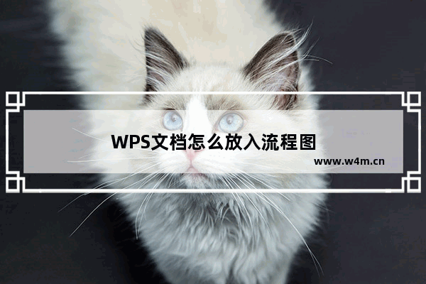 WPS文档怎么放入流程图