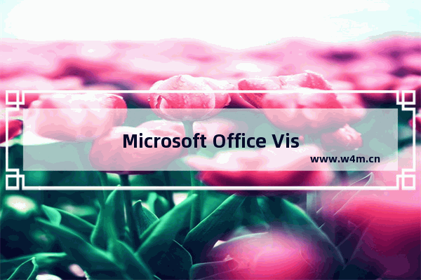 Microsoft Office Visio首字母自动大写的设置方法步骤