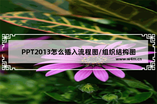 PPT2013怎么插入流程图/组织结构图?