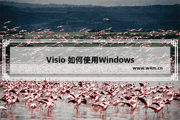 Visio 如何使用Windows