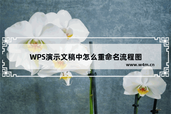 WPS演示文稿中怎么重命名流程图