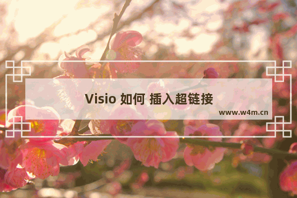 Visio 如何 插入超链接