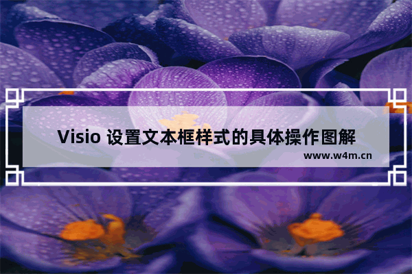 Visio 设置文本框样式的具体操作图解教程