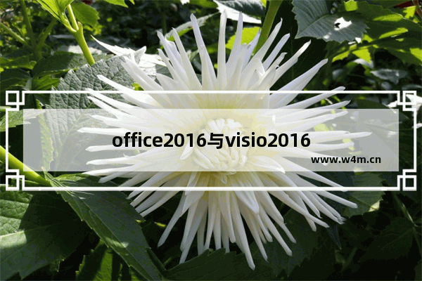 office2016与visio2016不能并存的问题分析