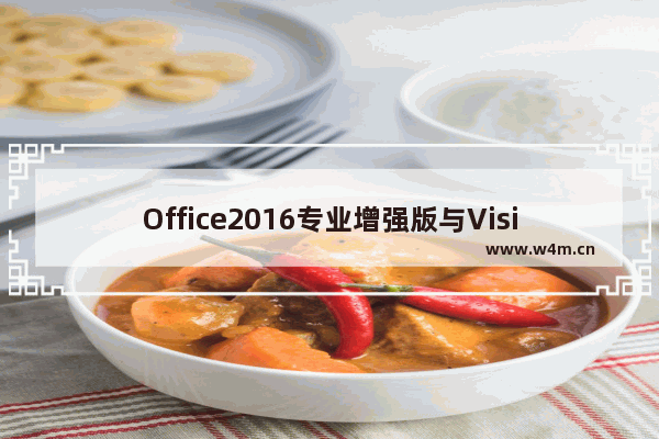 Office2016专业增强版与Visio2016专业版不能共存的解决办法