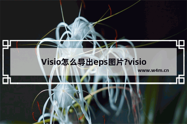 Visio怎么导出eps图片?visio删除多余线导出eps文件的教程