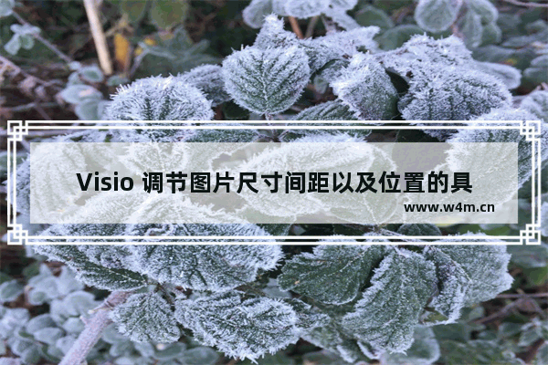 Visio 调节图片尺寸间距以及位置的具体操作图解教程