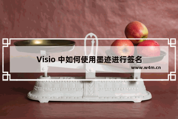 Visio 中如何使用墨迹进行签名