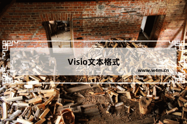 Visio文本格式