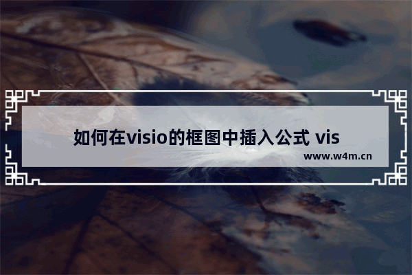 如何在visio的框图中插入公式 visio如何插入word中的数学公式