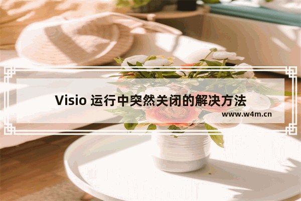 Visio 运行中突然关闭的解决方法