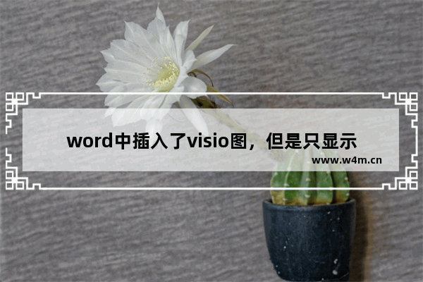 word中插入了visio图，但是只显示最底下的一点，怎么办？