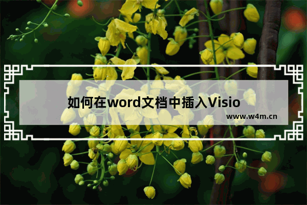 如何在word文档中插入Visio