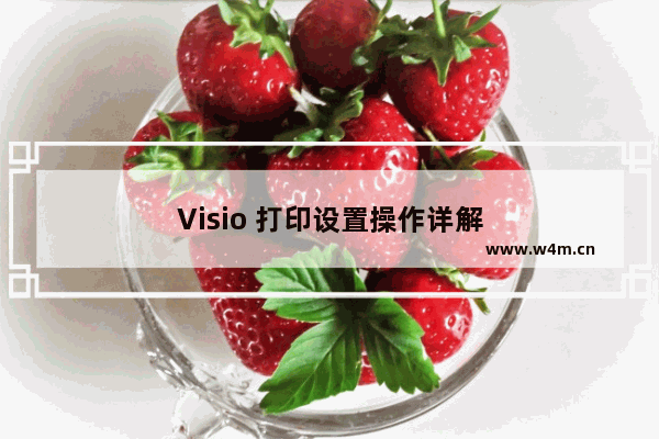 Visio 打印设置操作详解