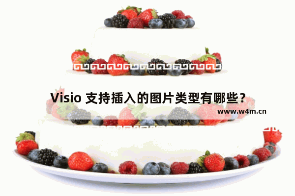 Visio 支持插入的图片类型有哪些？