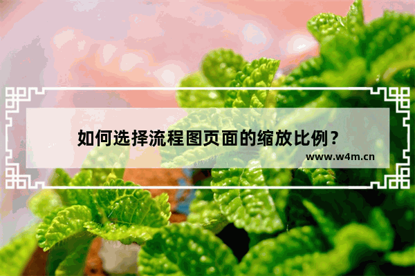 如何选择流程图页面的缩放比例？