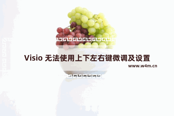 Visio 无法使用上下左右键微调及设置网格，问题解决