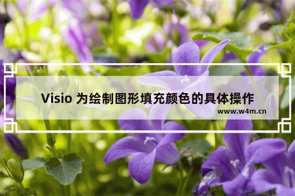 Visio 为绘制图形填充颜色的具体操作方法