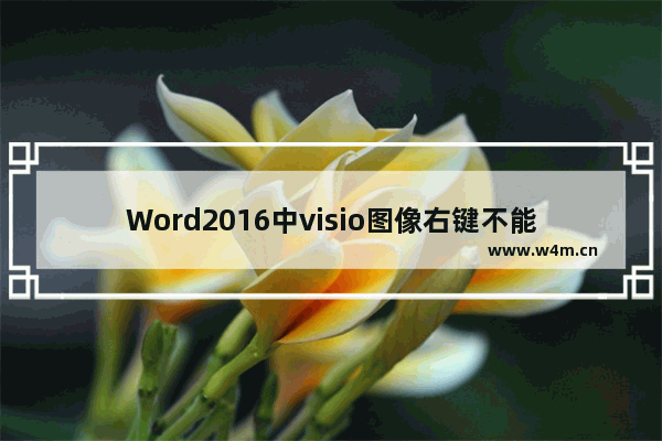 Word2016中visio图像右键不能打开怎么办