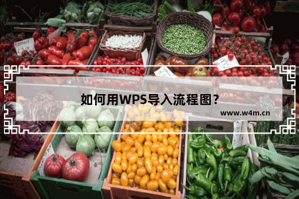 如何用WPS导入流程图？