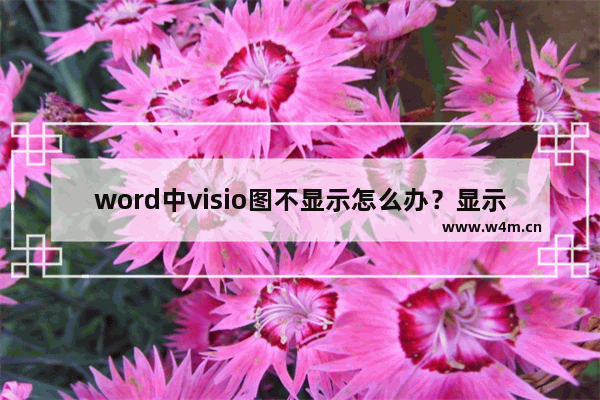 word中visio图不显示怎么办？显示word中的visio图方法