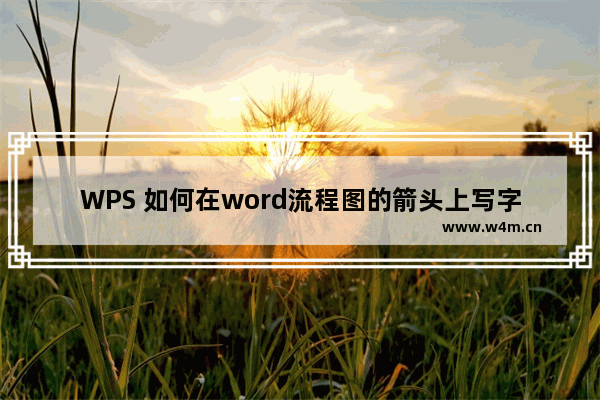 WPS 如何在word流程图的箭头上写字