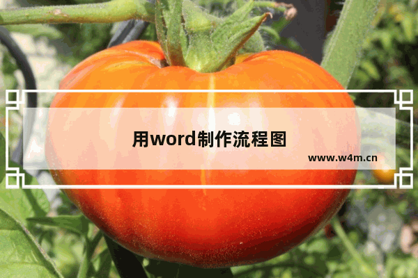 用word制作流程图