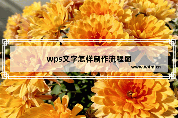 wps文字怎样制作流程图