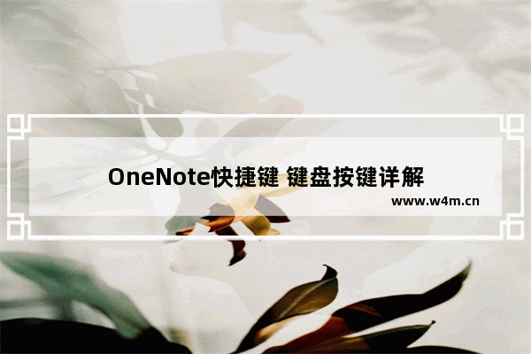 OneNote快捷键 键盘按键详解