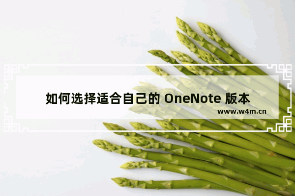 如何选择适合自己的 OneNote 版本