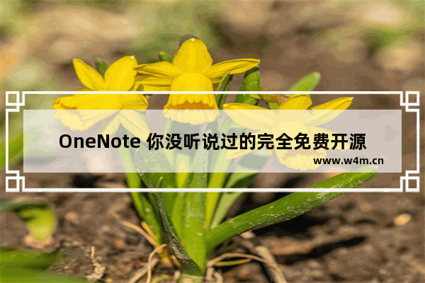 OneNote 你没听说过的完全免费开源插件OneMore使用基础教程